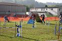 Bild 089